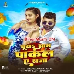 Chusa Aam Pakal Ae Raja (Chandan Chanchal)